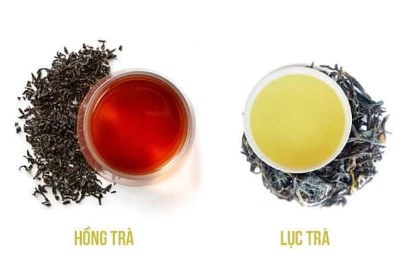so sánh màu nước, hương vị, và nhiệt độ pha của hồng trà và lục trà.