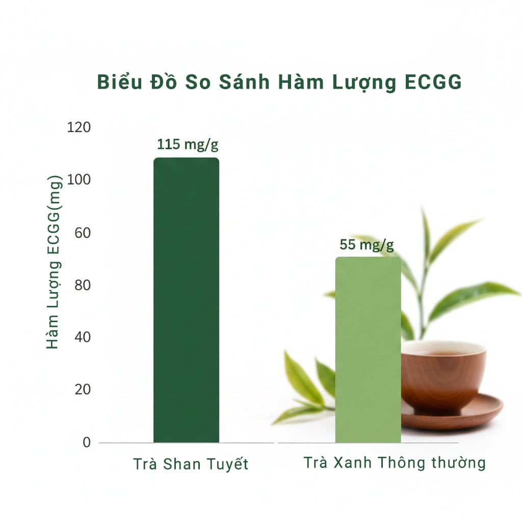 Biểu đồ so sánh hàm lượng EGCG trong trà Shan Tuyết và trà xanh thông thường