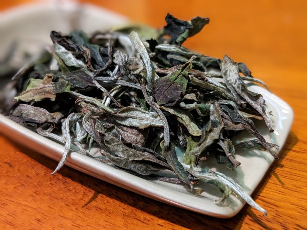 Búp Trà Shan Tuyết Cổ Thụ Chất Lượng Cao