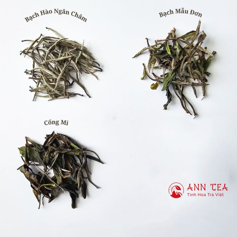 Các loại bạch trà