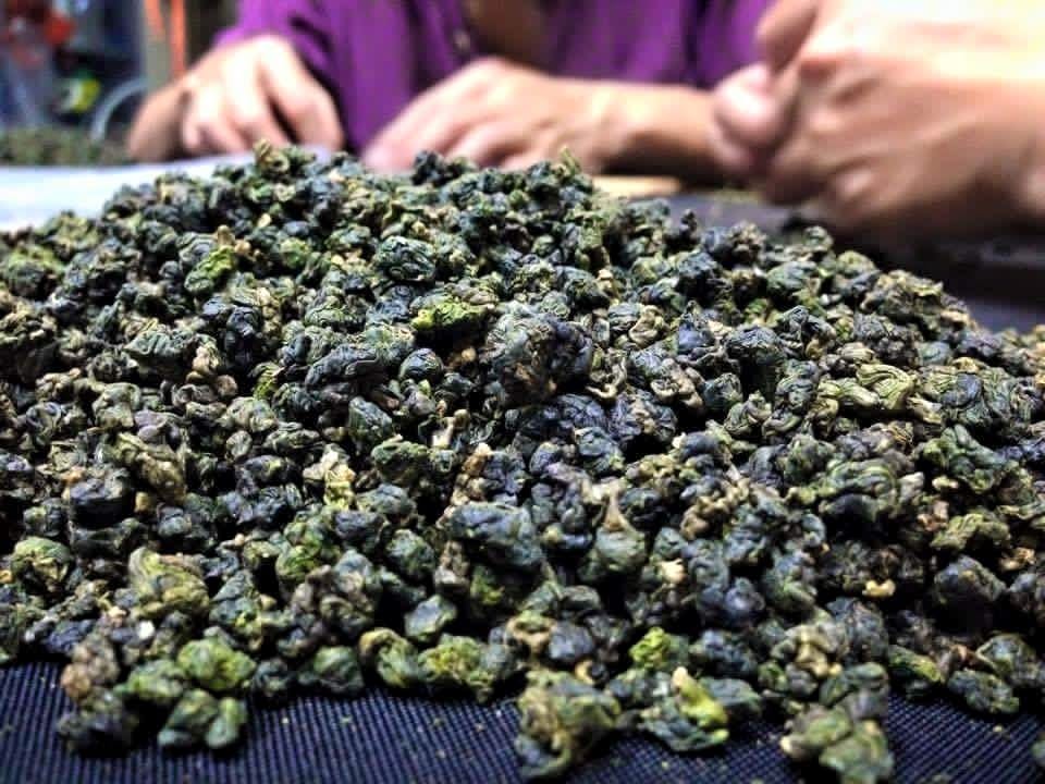 Cánh trà ô long khô chất lượng cao