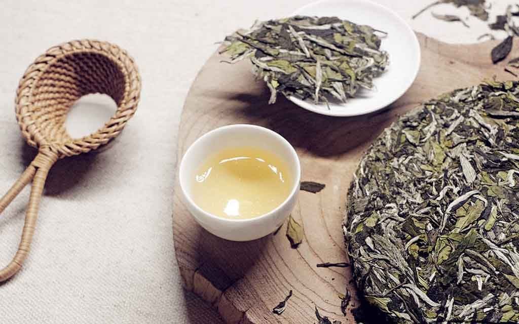 Chén Trà Shan Tuyết Cổ Thụ vàng óng ánh