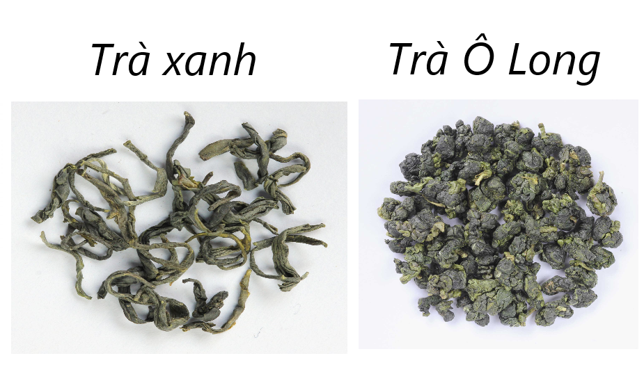 so sánh trà xanh và trà ô long